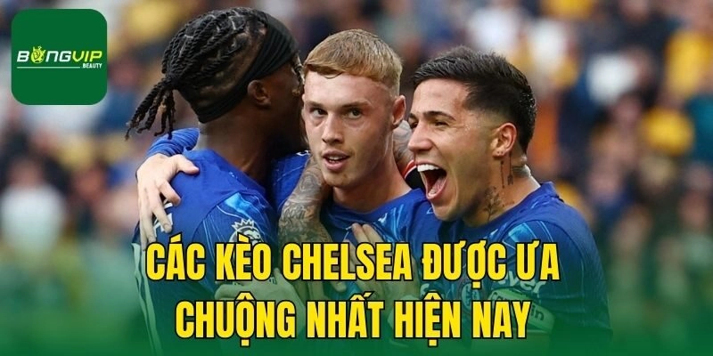 Các kèo Chelsea được ưa chuộng nhất hiện nay