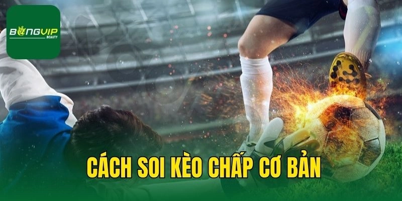 Cách soi kèo chấp cơ bản