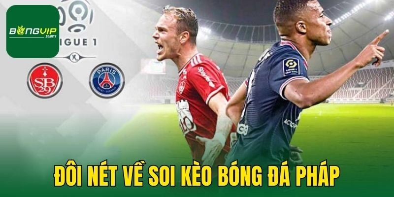 Đôi nét về soi kèo bóng đá Pháp