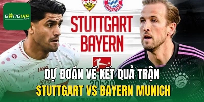 Dự đoán về kết quả trận Stuttgart vs Bayern Munich