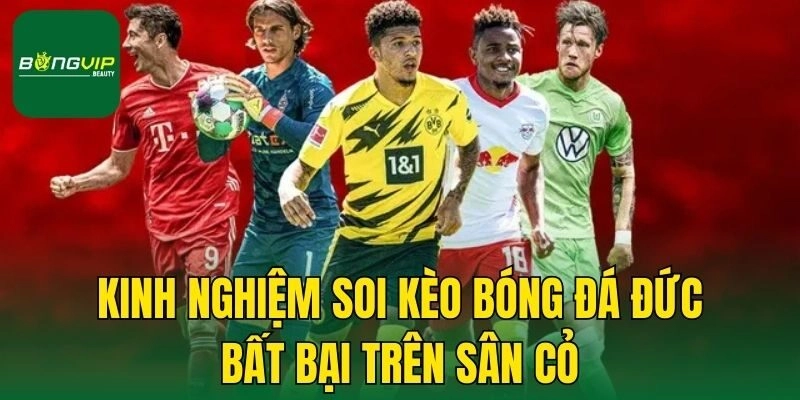 Kinh nghiệm soi kèo bóng đá Đức bất bại trên sân cỏ