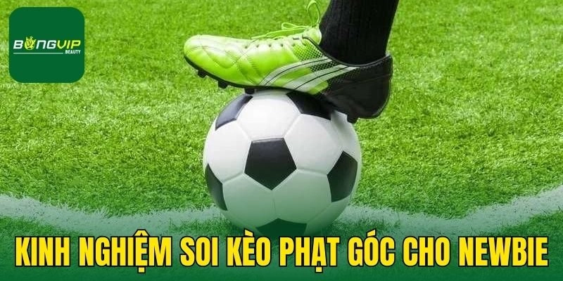 Kinh nghiệm soi kèo phạt góc cho newbie