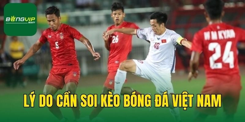 Lý do cần soi kèo bóng đá Việt Nam