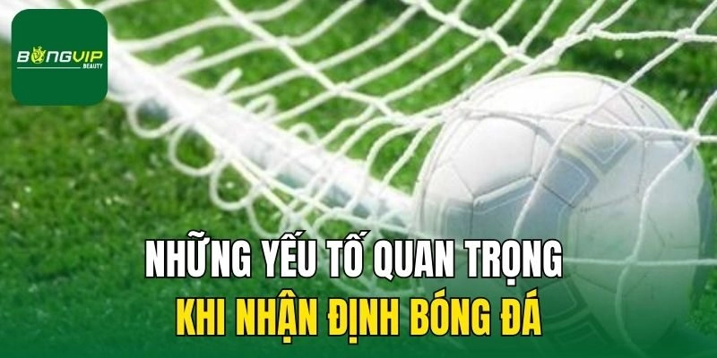 Những yếu tố quan trọng khi nhận định bóng đá