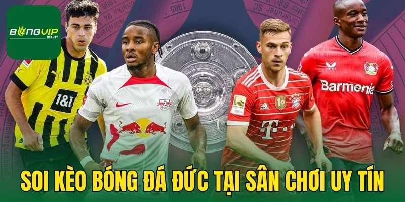 Soi kèo bóng đá Đức tại sân chơi uy tín