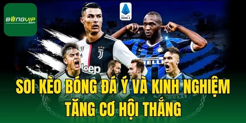 Kinh nghiệm soi kèo chuẩn xác dành cho tân binh Bongvip