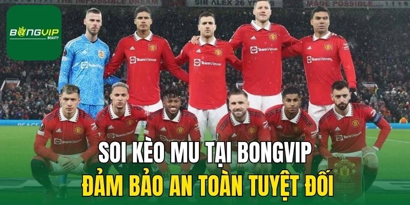 Soi kèo MU tại Bongvip đảm bảo an toàn tuyệt đối