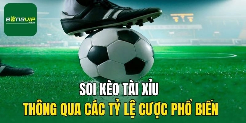 Soi kèo tài xỉu thông qua các tỷ lệ cược phổ biến