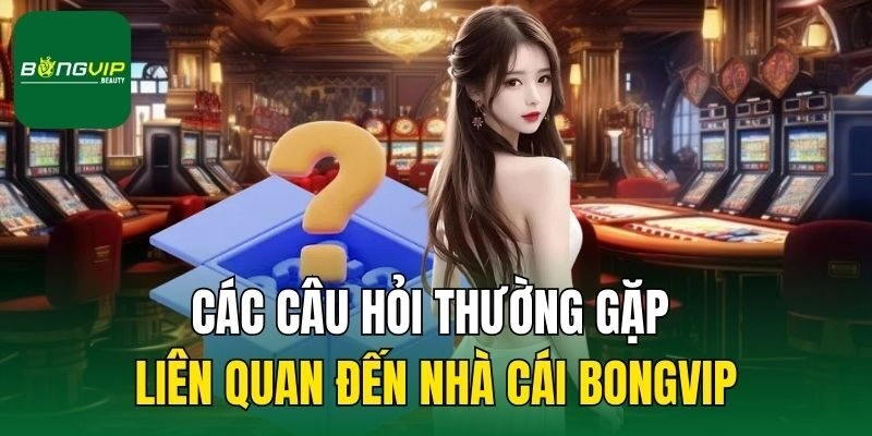 Các câu hỏi thường gặp liên quan đến nhà cái Bongvip