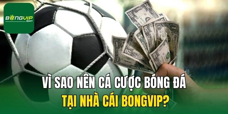 Lý do nên cá cược bóng đá tại nhà cái Bongvip